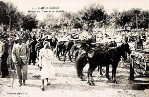 Maison-Carree - Marche aux Chevaux